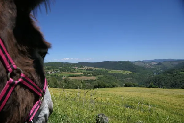 Randonnées avec des ânes : Au Fil des Raspes