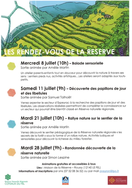Découverte des papillons de jour et des libellules