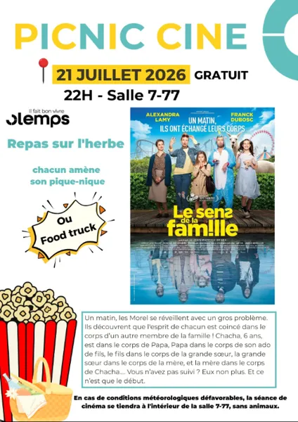 Picnic ciné 