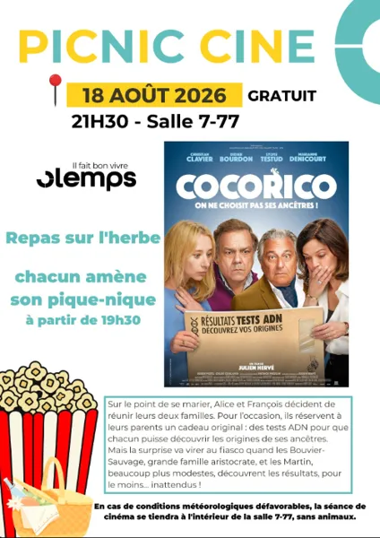 Picnic ciné