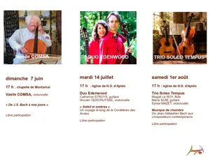 Concert Trio Soleo Tempus