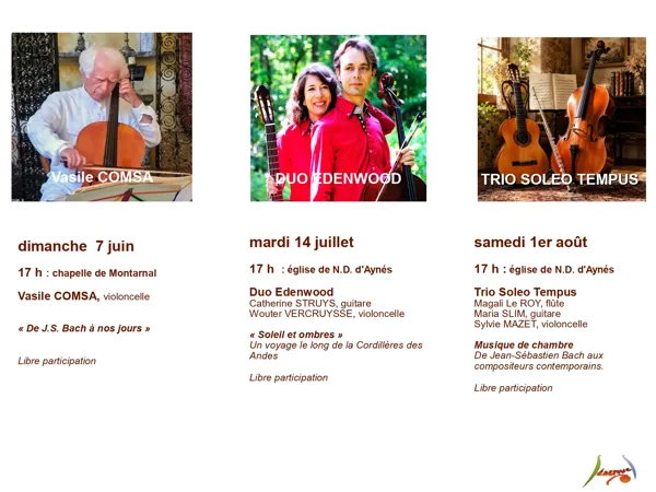 Concert Trio Soleo Tempus