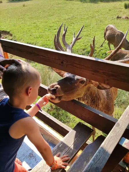 Parc animalier Le Saint Hubert