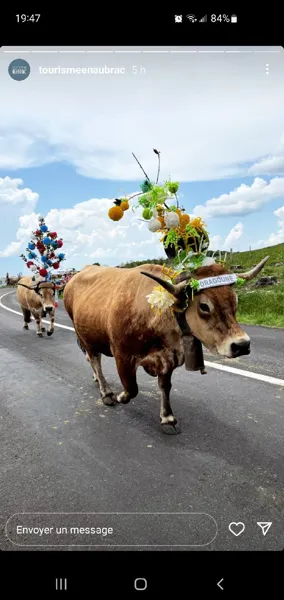 Chez Jacky et André, Propriétaire