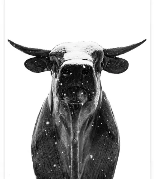 Chez Jacky et André, Propriétaire