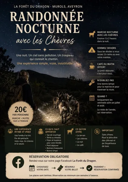 La forêt du Dragon - Randonnée nocturne avec des chèvres de bât