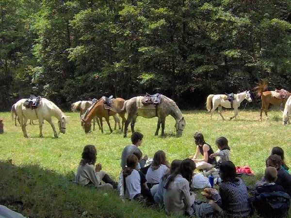 Ferme Equestre du Badour - Balade à Cheval