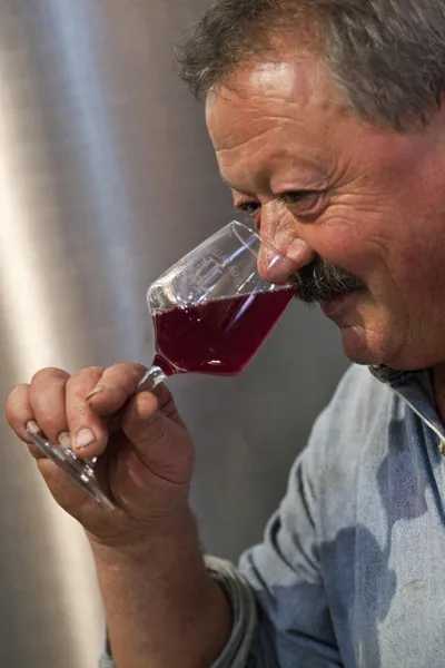 Jean-Luc Matha, vigneron