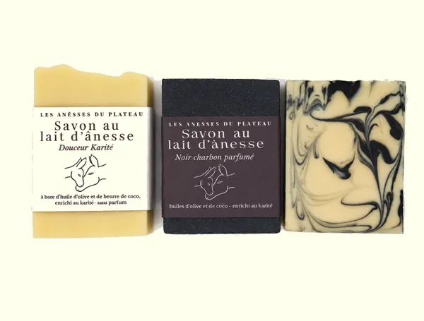Les ânesses du plateau