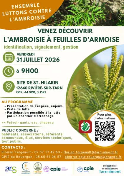 Ensemble luttons contre l'ambroisie - Venez la découvrir