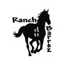 Stage d'équitation : Chasse aux trésors