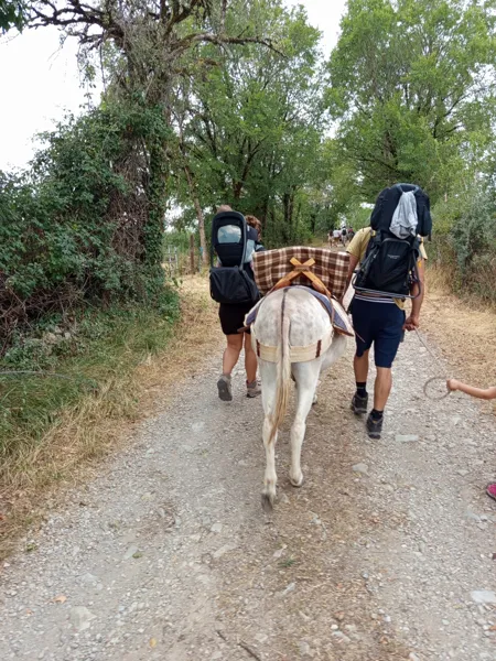 Randonnée accompagnée d'un âne à Bozouls