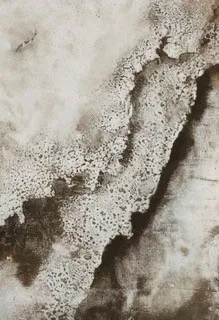 Exposition « Entre ciel et terre »