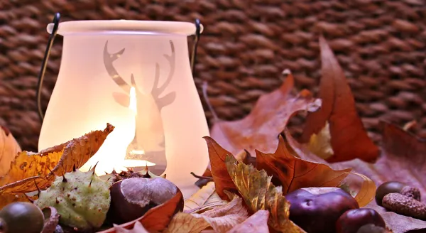 Mercredi ré-créatif : Land Art d’Automne avec Laurence Marie
