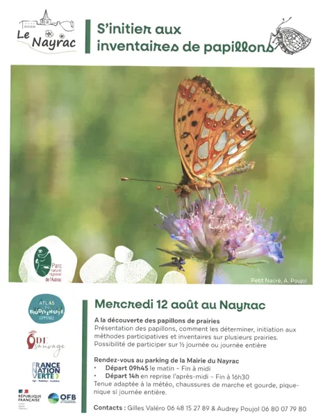 S'initier à l'inventaires des papillons