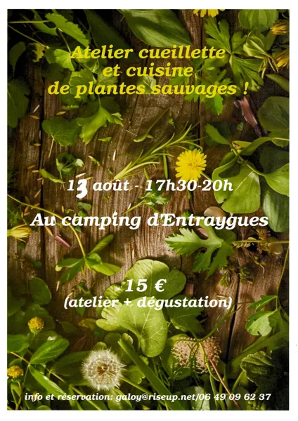Atelier cueillette et cuisine de plantes sauvages