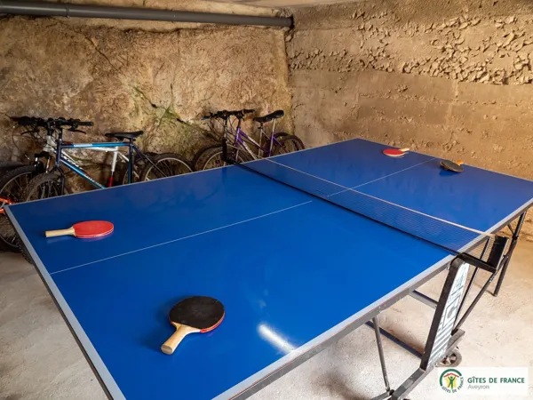 Table de ping-pong et vélos à disposition, Propriétaire du gîte