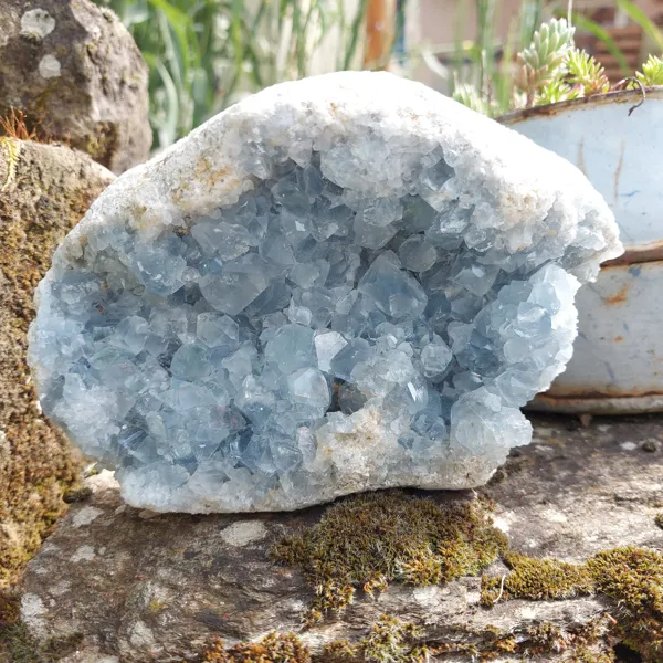 Evidences, Evidences