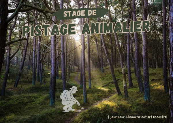 Stage - Pistage Animalier - Adultes