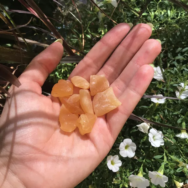 La magie du miel - Bonbons au miel et produits à la propolis / La Petite Boutique de l'OT