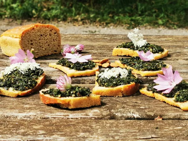 Besoin de nature : Ateliers Cuisine Sauvage
