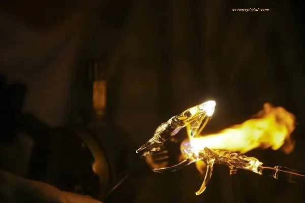 Un scorpion, verconcept