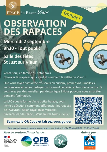 Observation des rapaces