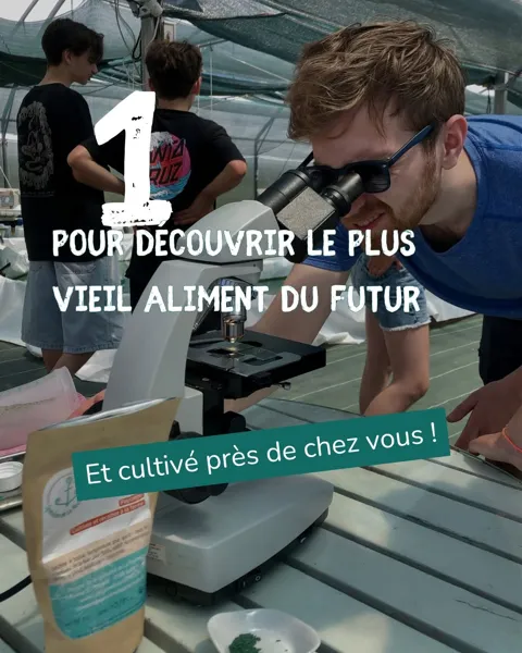 Fête de la Spiruline, Spiruline des Grands Causses