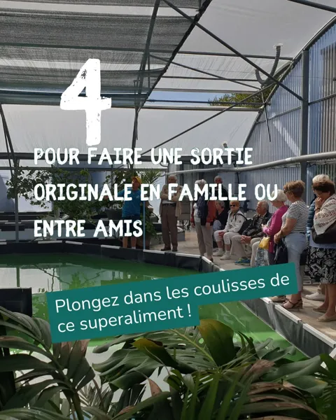 Fête de la Spiruline, Spiruline des Grands Causses