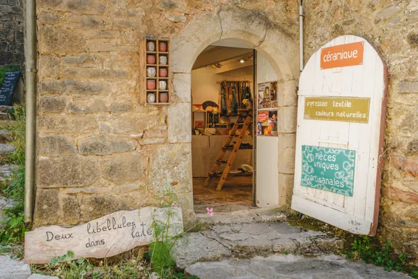 Deux libellules dans l'atelier