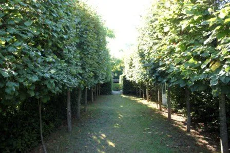 Le Jardin de la Mothe