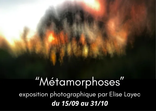 Exposition de photographies :
