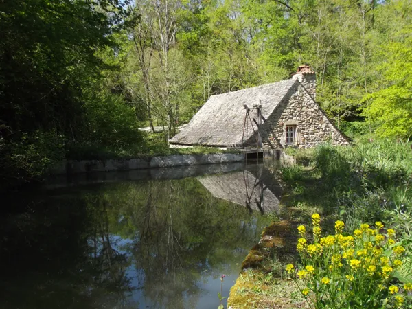 , les Martinets du Lézert