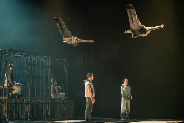 La Baleine : Cirque