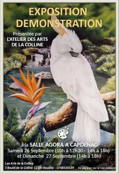 Exposition démonstration : atelier des arts de la colline