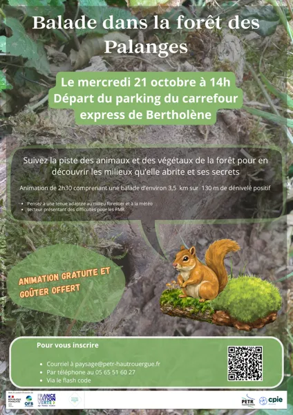 Balade dans la forêt des Palanges