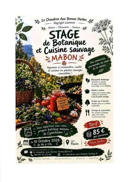 Stage de botanique et cuisine sauvage