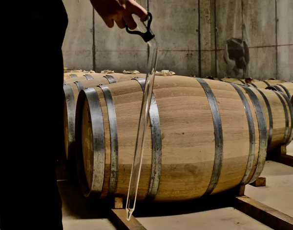 En Coulisse - Visites guidées d'une distillerie de Whisky artisanal