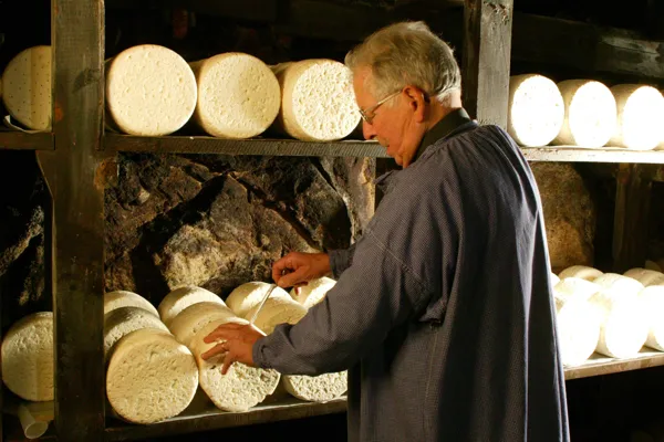 Yves COMBES, Dominique MARTIN