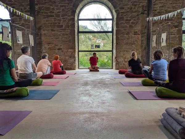 Atelier de yoga IYENGAR®