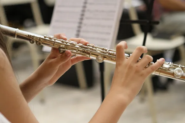 Concert de Noël de la Lyre Decazevilloise