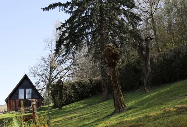 En pleine nature