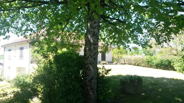 Meublé Fleur de Tilleul