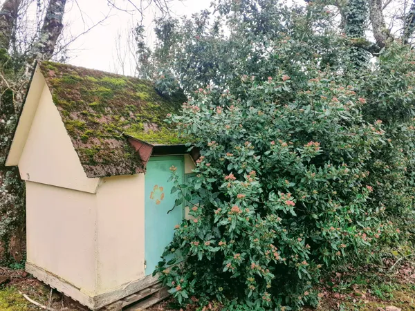 Meublé Fleur de Tilleul