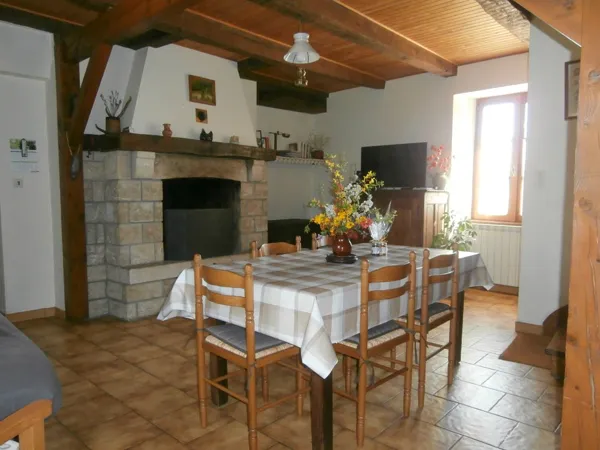 Séjour cheminée