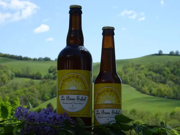 Brasserie La Beau Soleil (groupes), 