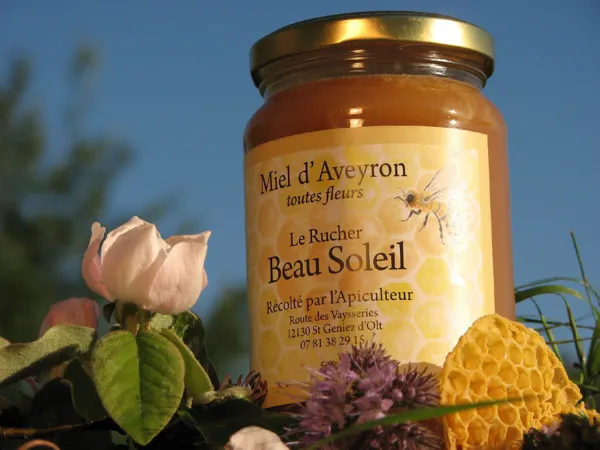 Brasserie La Beau Soleil (groupes), 