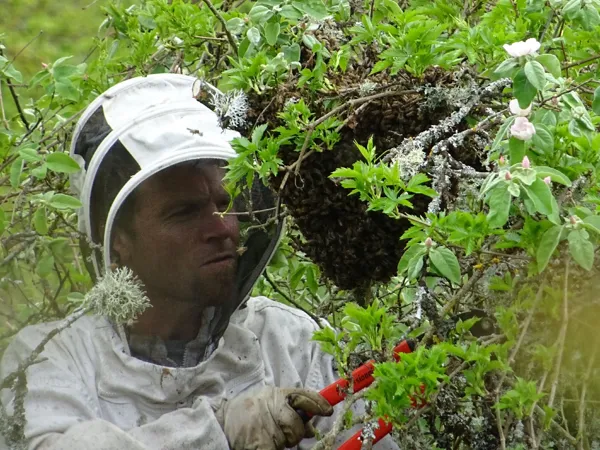 Brasserie La Beau Soleil (groupes), 