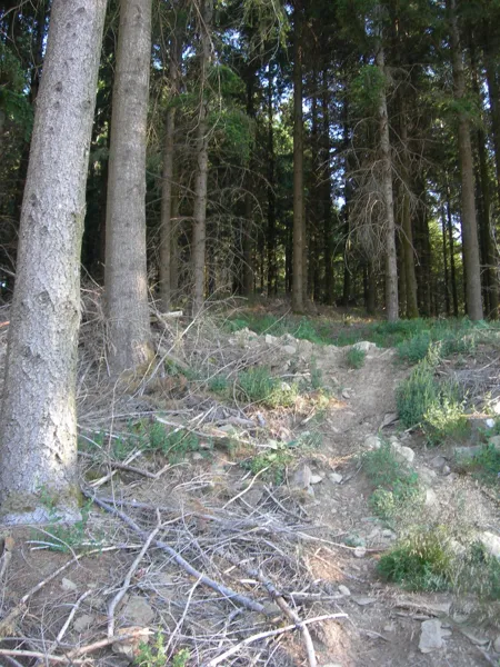 Trail d'Aqui - Demi-kilomètre vertical ENTRAYGUES, OT Terres d'Aveyron