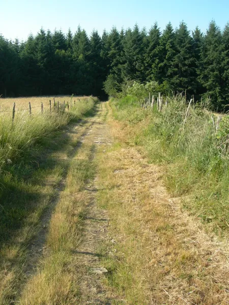 Trail d'Aqui - Demi-kilomètre vertical ENTRAYGUES, OT Terres d'Aveyron